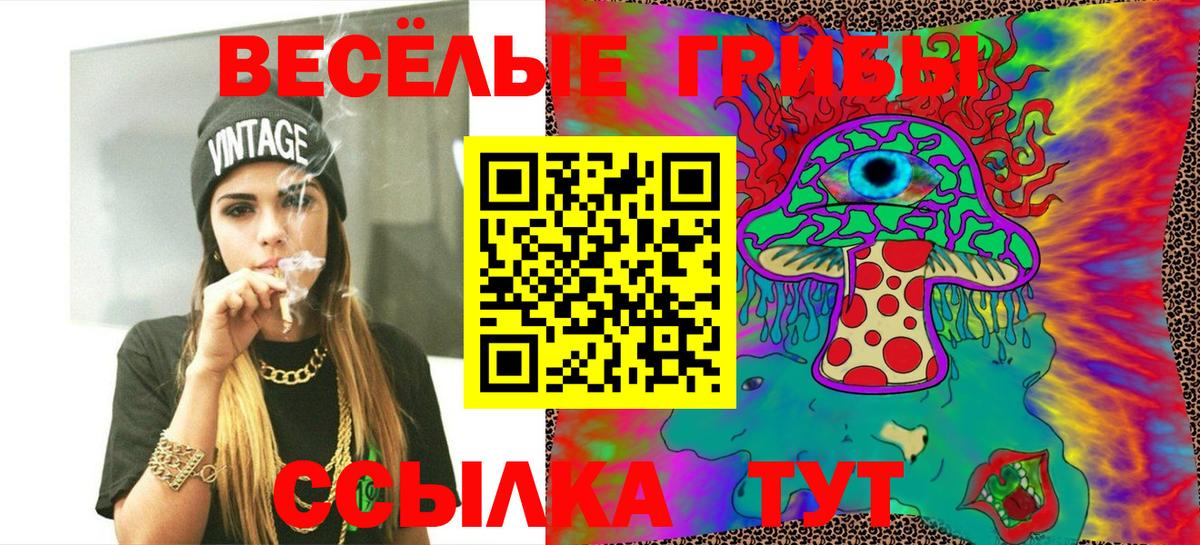 Ставрополь  Псилоцибиновые грибы ЛСД  Вход с VPN  Псилоцибиновые грибы Cubensis 