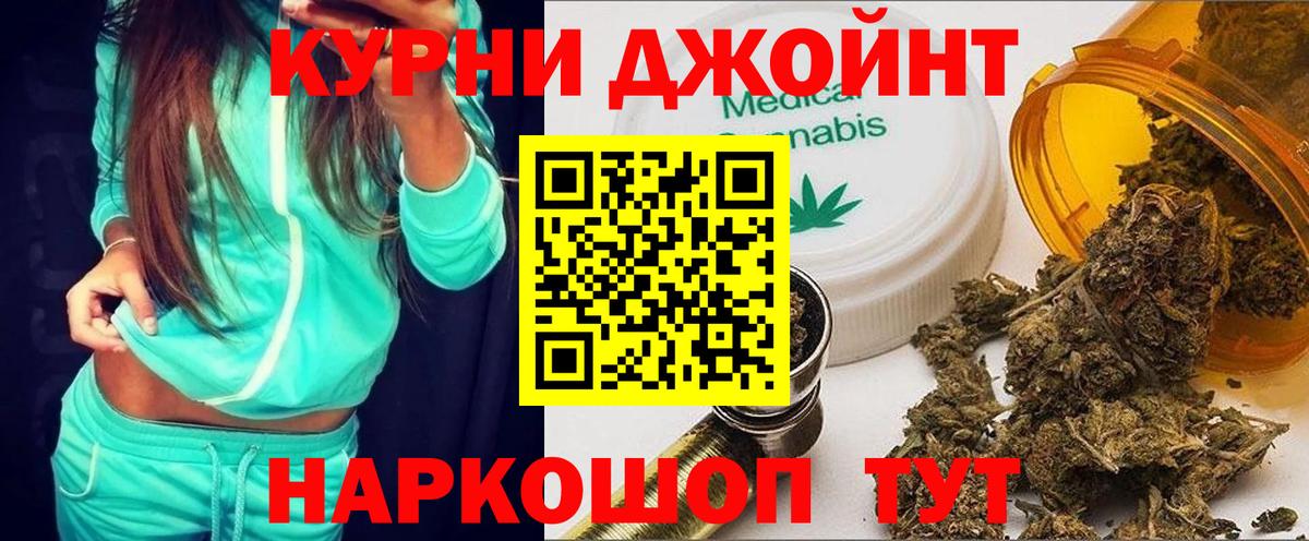 Шишки марихуана планчик Ставрополь